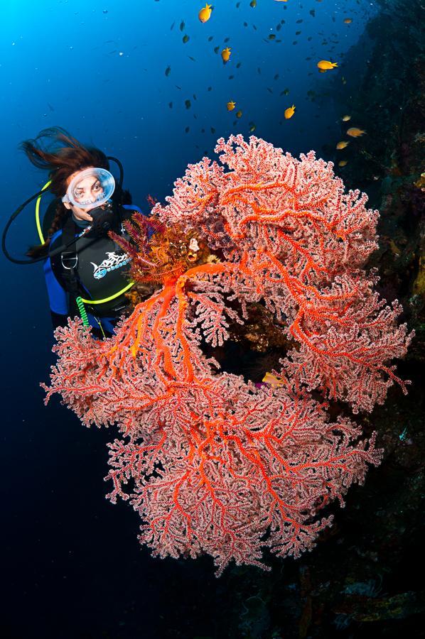 Benthos Bali Dive Resort Candi Dasa  Exterior photo